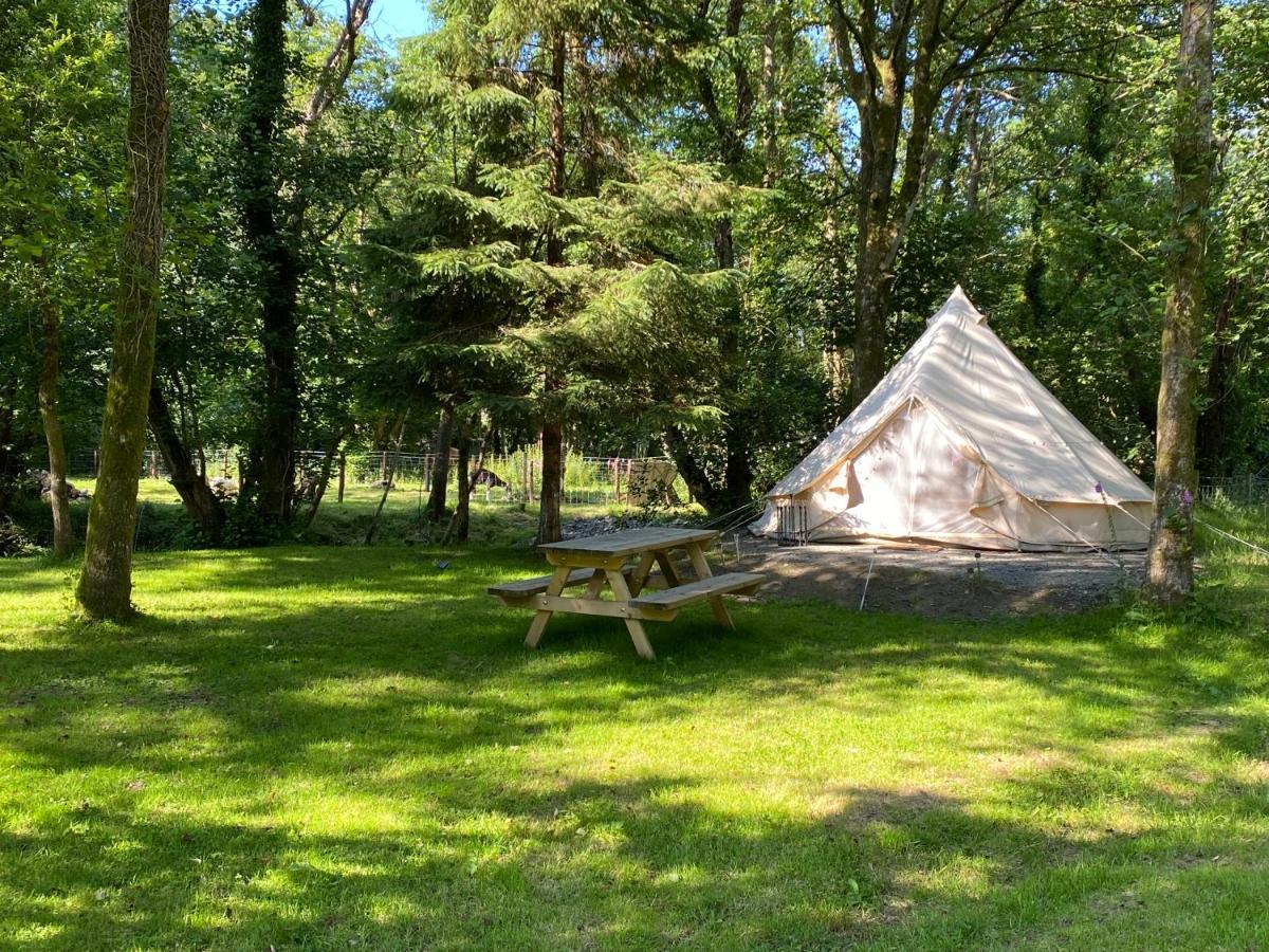 Hotel River View Glamping Llandovery Exteriér fotografie