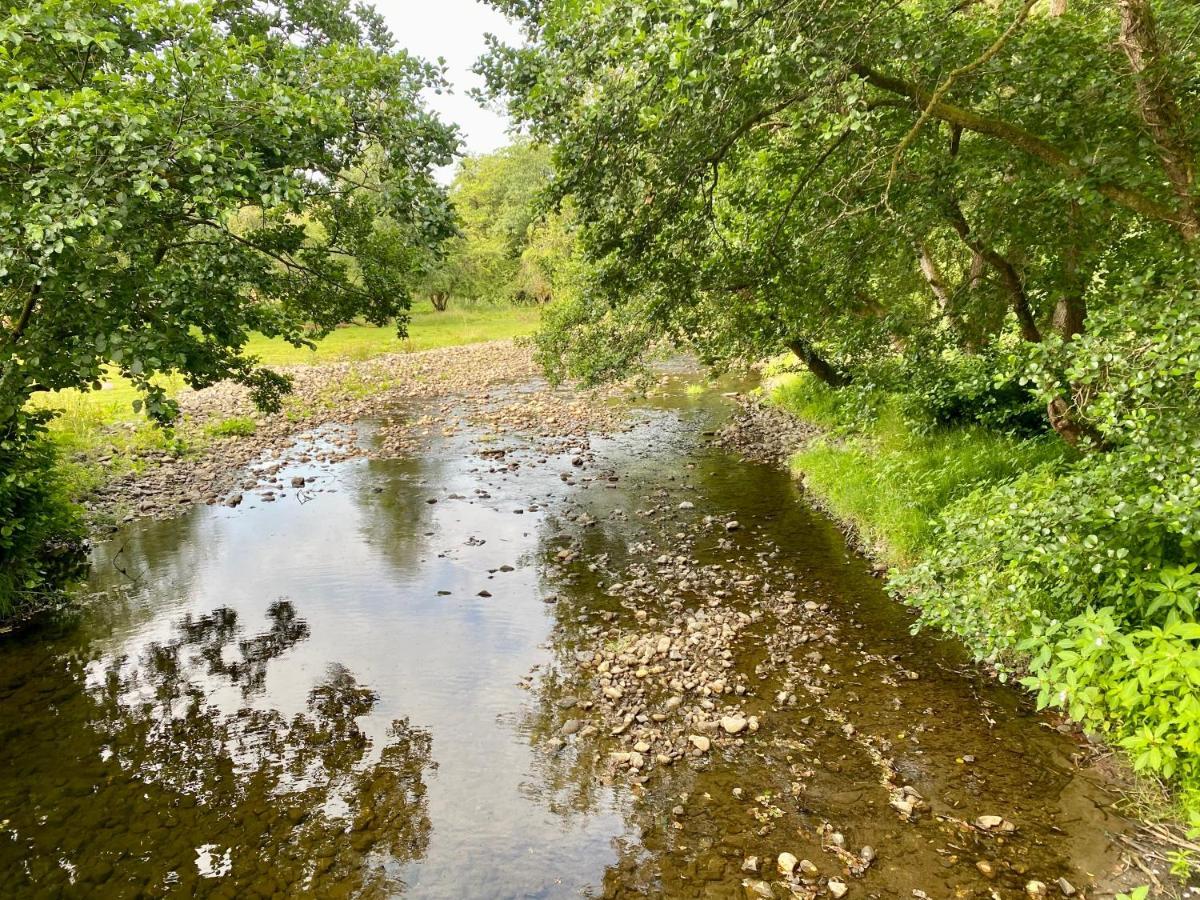 Hotel River View Glamping Llandovery Exteriér fotografie