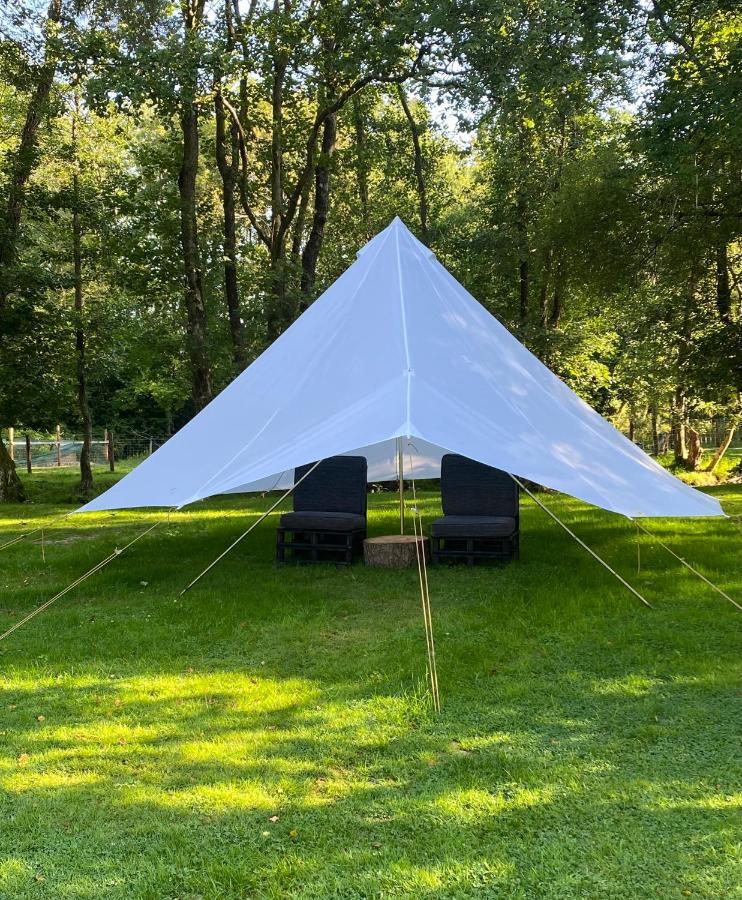 Hotel River View Glamping Llandovery Exteriér fotografie