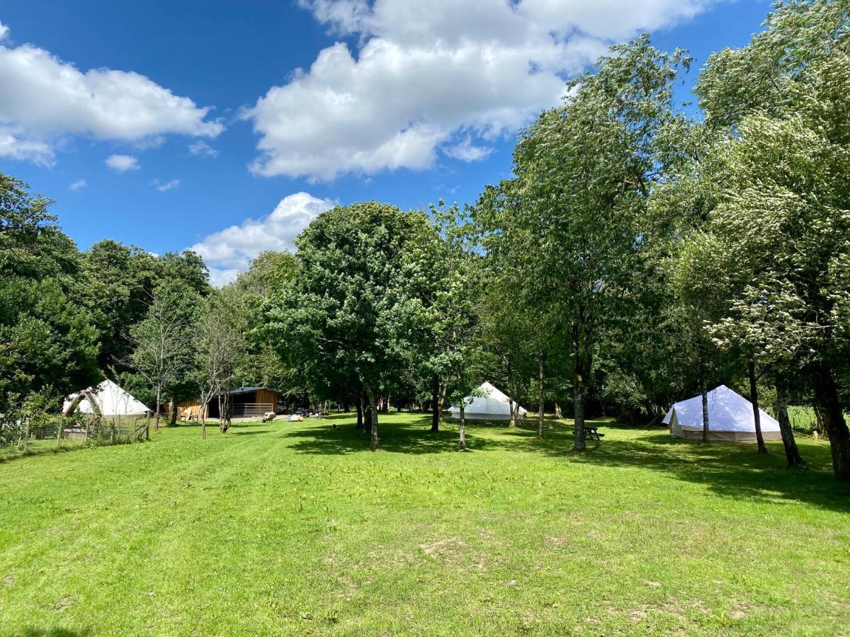 Hotel River View Glamping Llandovery Exteriér fotografie